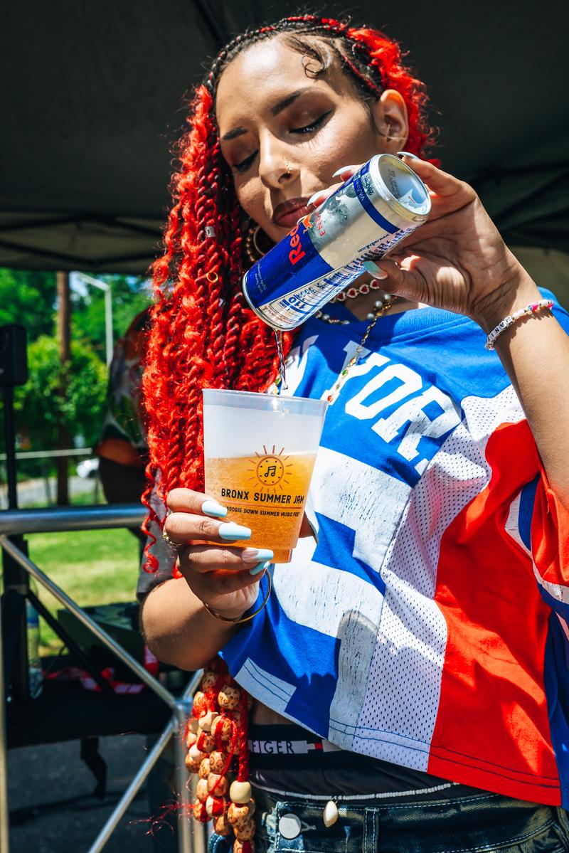 Bronx Summer Jam 2026 — day in the park
